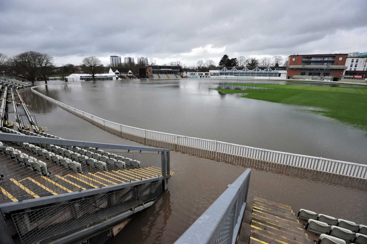 cricket pitch